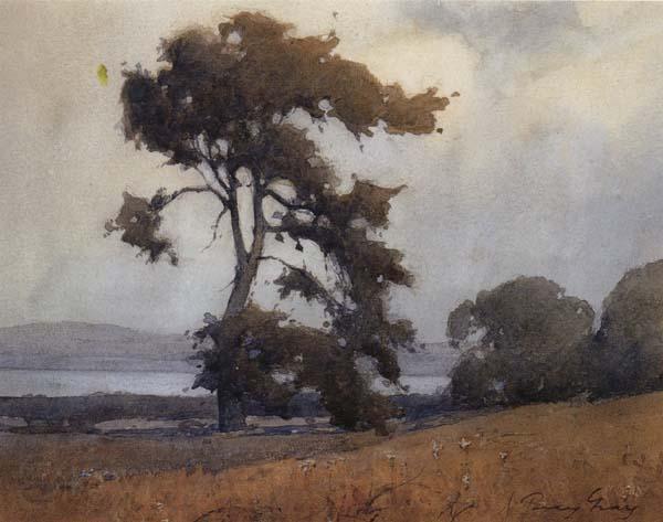 unknow artist California landscape